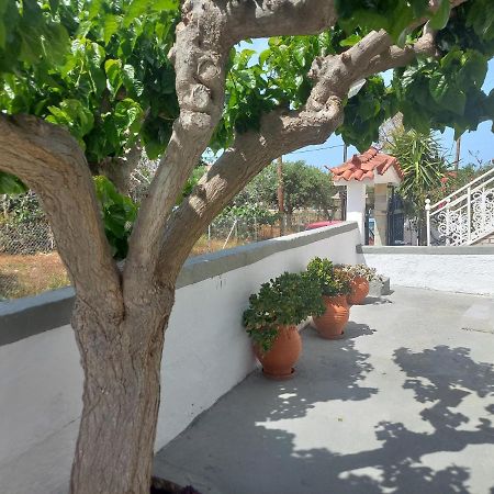 Mulberry House Hotel Elafonissos Exterior photo